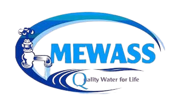 meru-removebg-preview